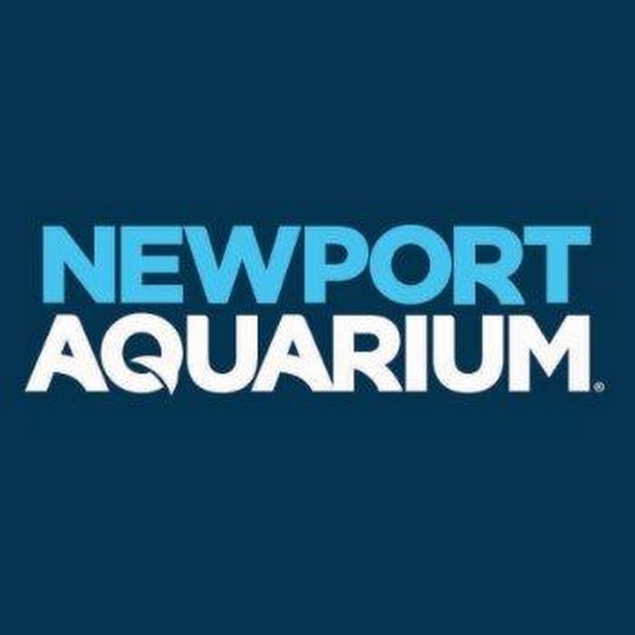 Newport Aquarium - AN66SAxuxI6WGI1ae0EwDWTo4qS9IC HubZr RwjPA=s900 Mo C C0xffffffff Rj K No