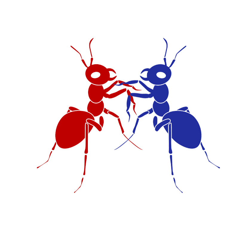 Муравьиная ферма [ResOfAnts] Муравьи (Messor Camponotus Diacamma) Ants