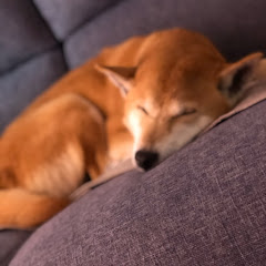 ブサイク小木曽