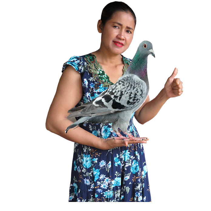 ATE Daily Net Worth & Earnings (2026)