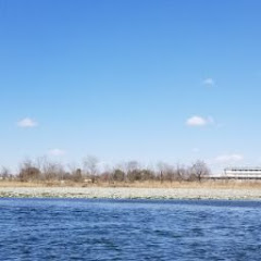 おのののコマチ