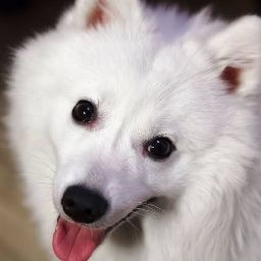 Images For Funny Comment Pictures On Facebook Tagalog Get Funny