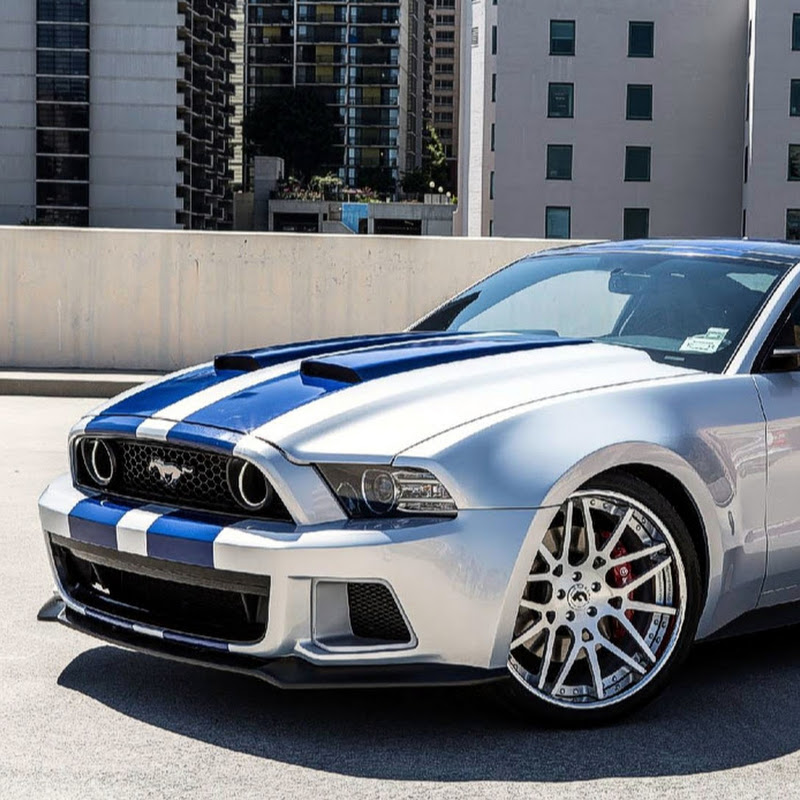 Fanlink profile picture for @mustang