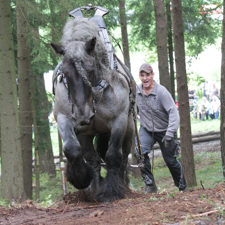 unfastened online video games to play now for laptop