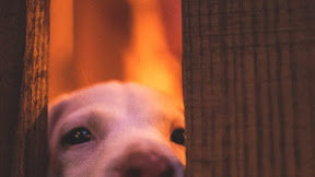 Evaluna Montaner - Evaluna Montaner (@EvaMontanerok) | Twitter