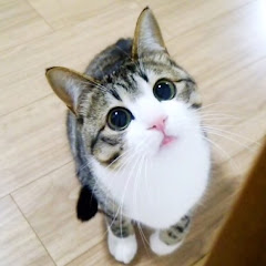 すたーサンダー