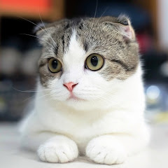 みなちch