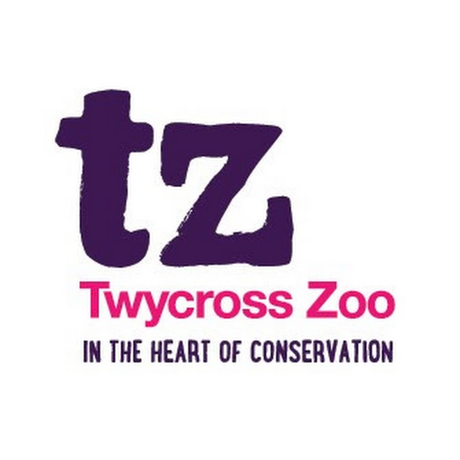 Twycross Zoo - YouTube