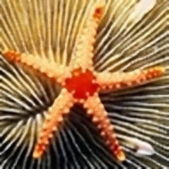 friendD channel