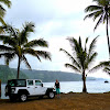 TripBloggers