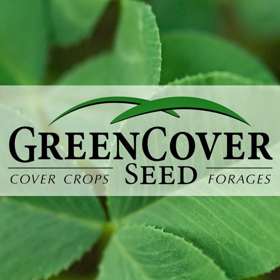Green Cover Seed YouTube
