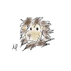 ANIPY 。