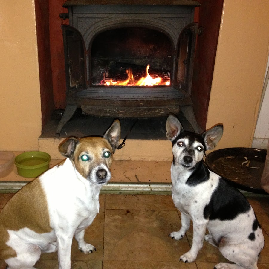 Jason Stephenson Sleep Meditation Music YouTube