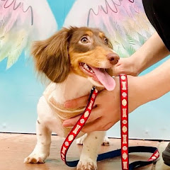 ポン酢パスタ【龍が如く切り抜き】