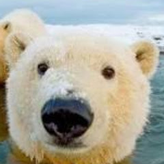 モン テスキュー