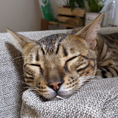 ママチャンネル
