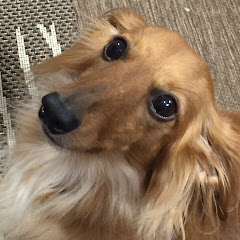 ちゃんねるRYO