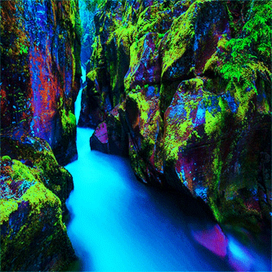 Discovery Channel Documentary YouTube