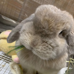 そらとび