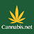 8 Cannabinoids in the Cannabis Plant That Recharge Your Body AN66SAzVxdFefd6gNpzuLRuqJB_KF3Q3DED0Ctl2Fg=s48-mo-c-c0xffffffff-rj-k-no