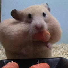 むぎむぎ