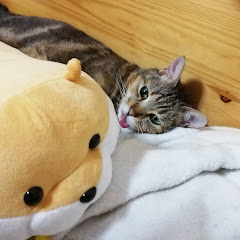 わさび わさび