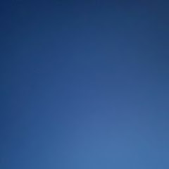 ー召喚ひつじ
