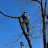 TreeMuggs - Patrick Masterson 