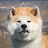 Akita Inu Tori