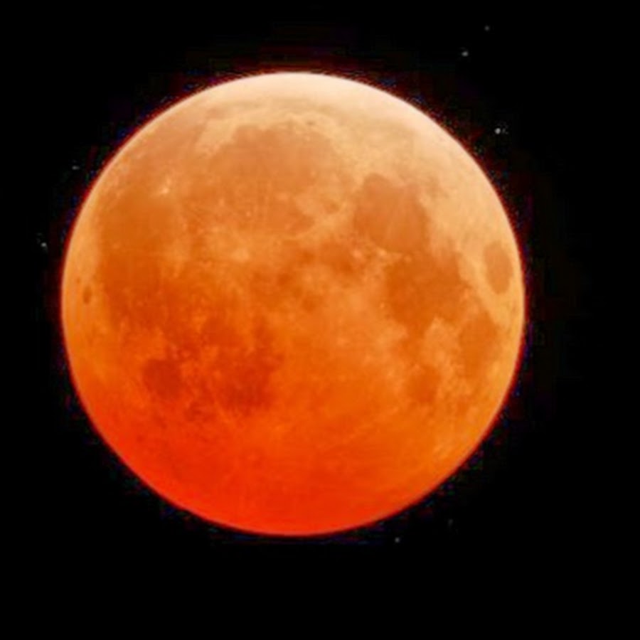 Bloodmoon как установить