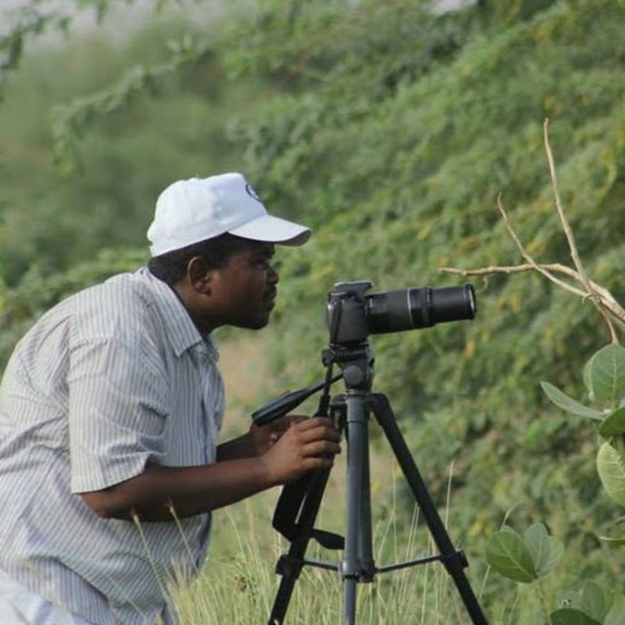 mohamed ismael 
