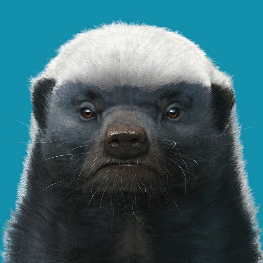 HoneyBadger - YouTube