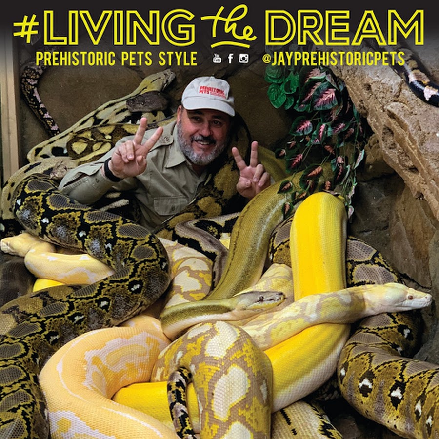 JayPrehistoricPets YouTube