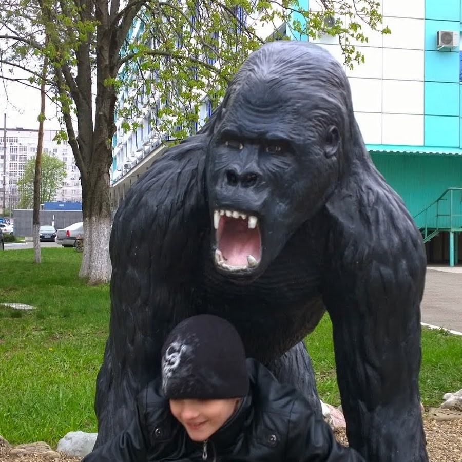 видео приколы. ютуб приколы. улётное видео приколы ржачные. медведь за рулем. смешные ролики про зверей.