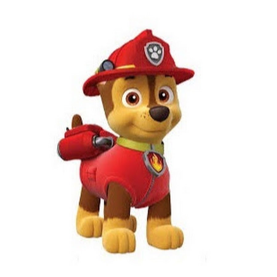 David Stephenson - YouTube