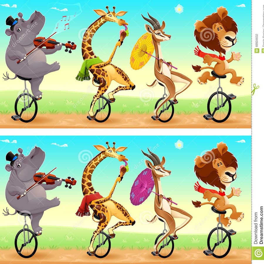 Cute Animals - YouTube