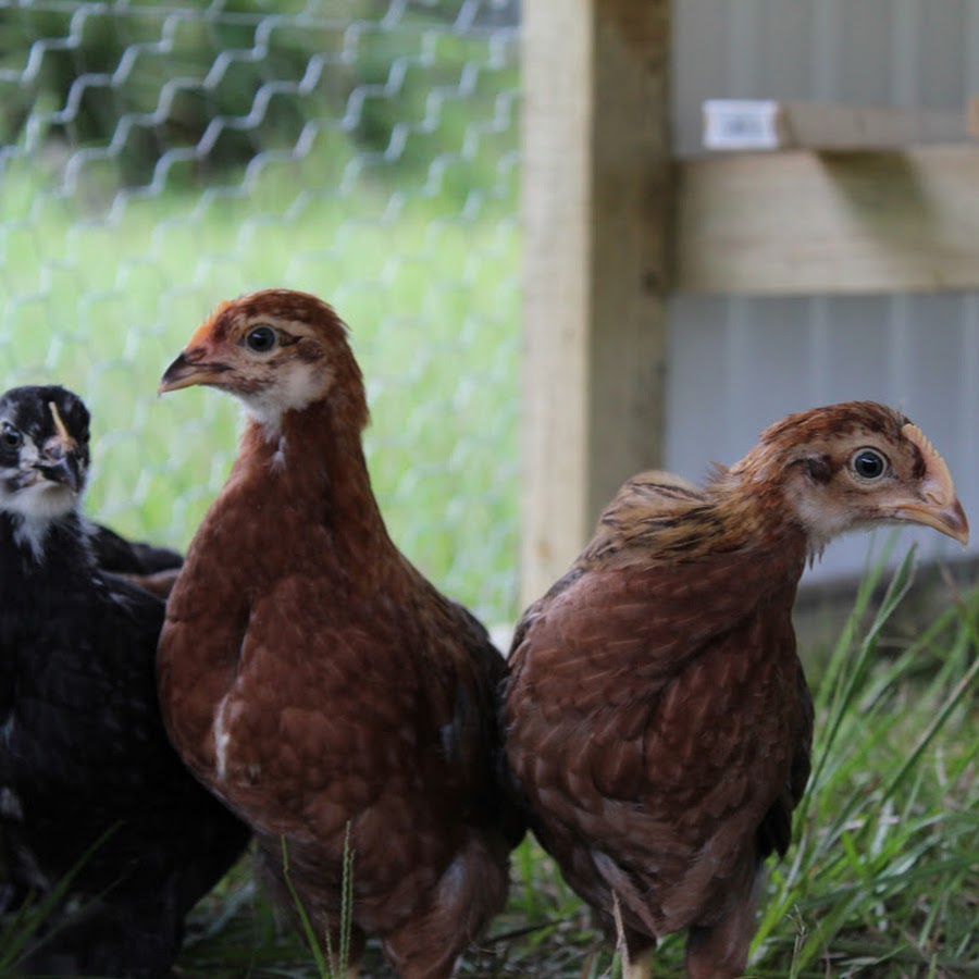 The Constant - YouTube