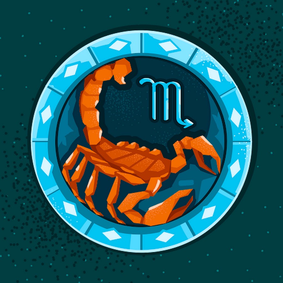 Et Tavuk Piyasası YouTube