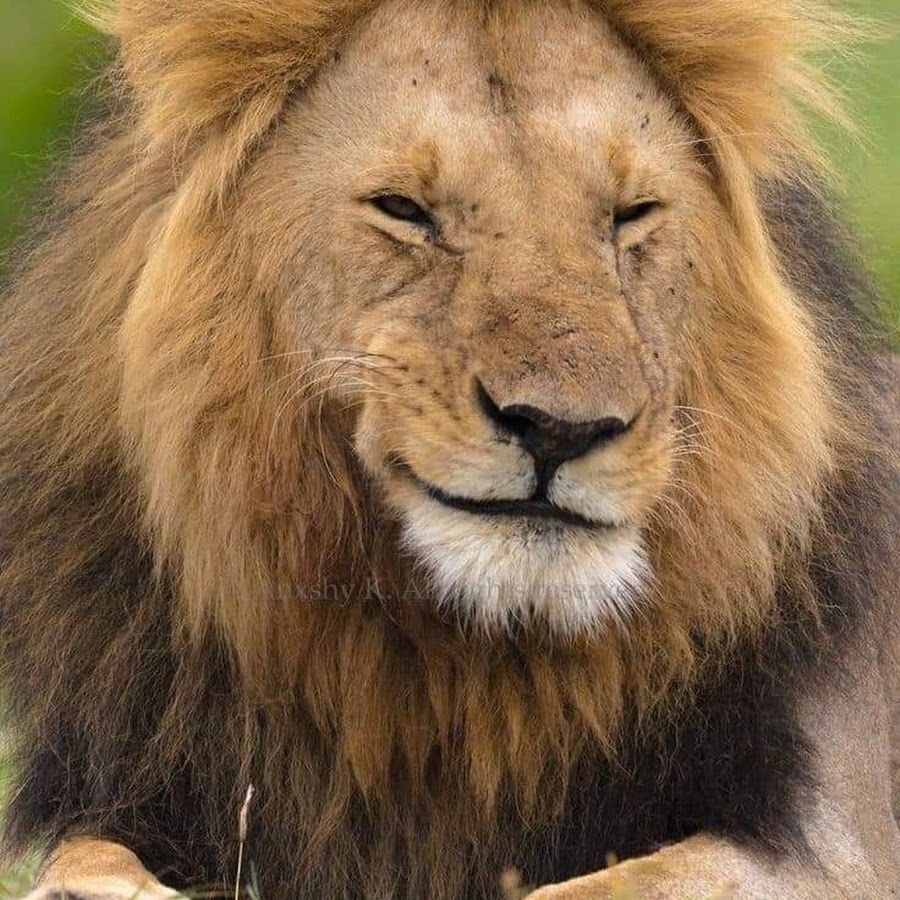 OverLord Season 3 - YouTube