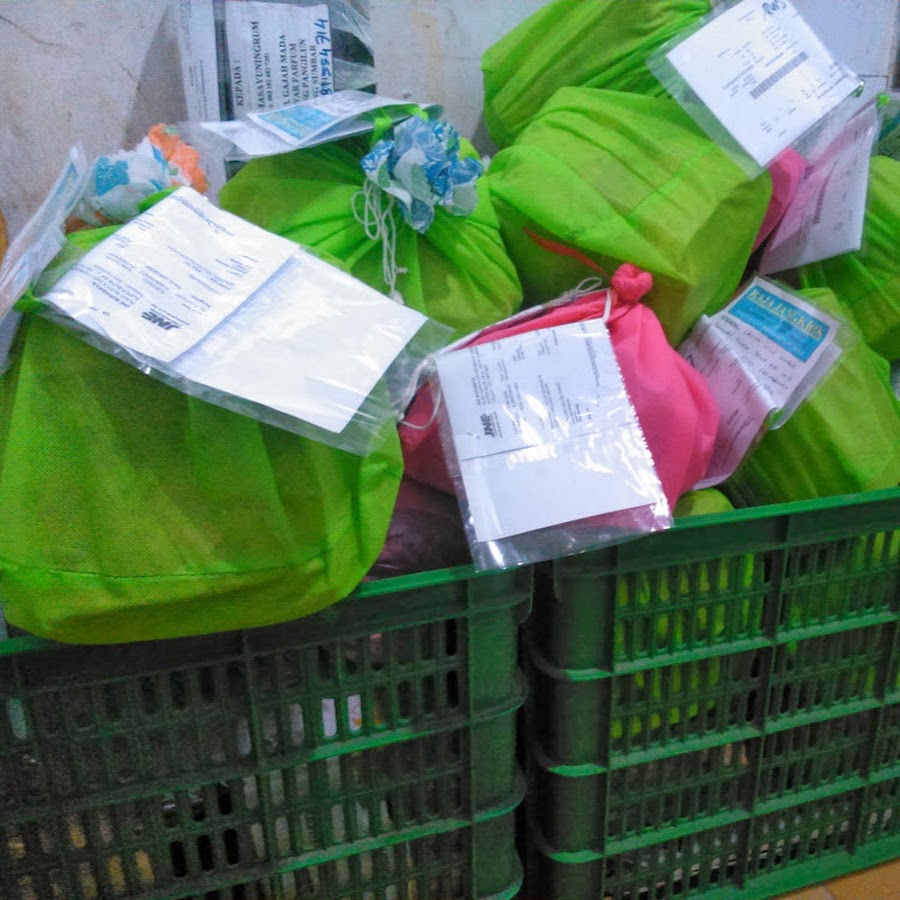 cara beternak jangkrik 