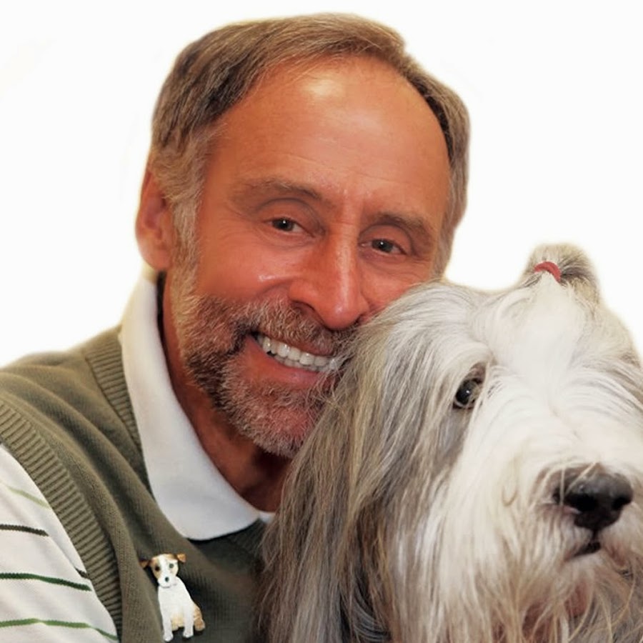 Dr Marty Goldstein YouTube