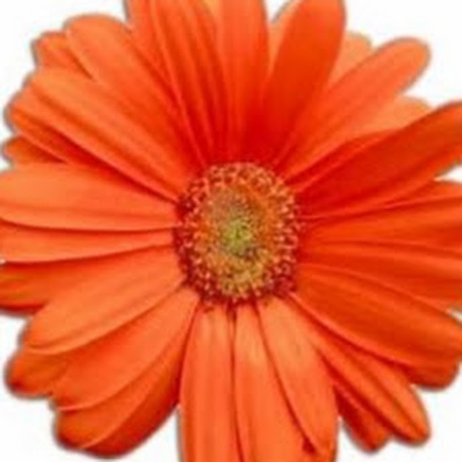 Beth Thomas - YouTube