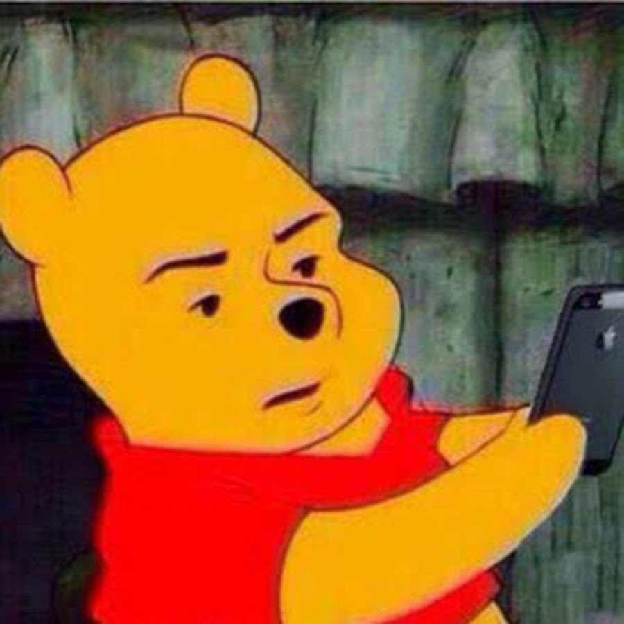 自撮りを始めたプーさん Youtube