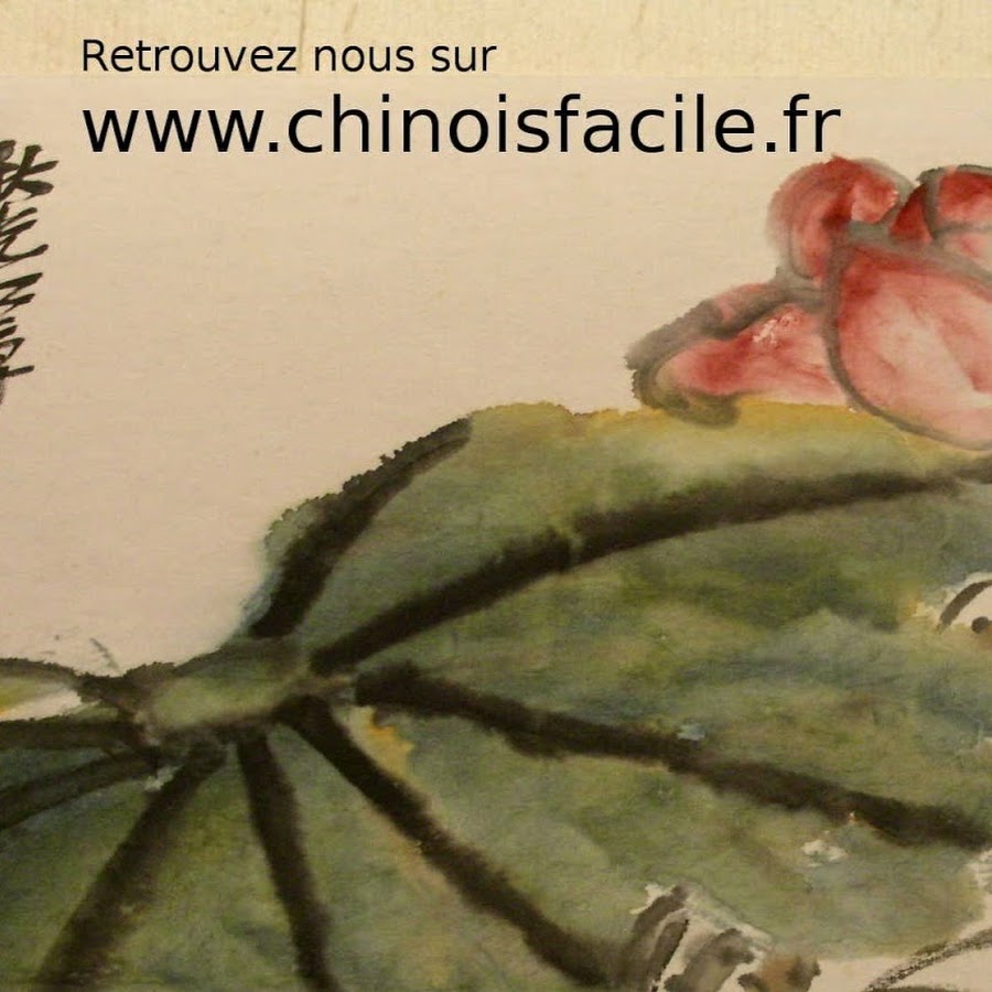 c'est du chinois en 3 lettres