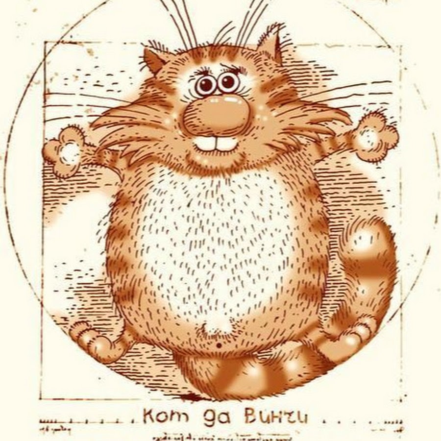 Витрувианский кот да Винчи