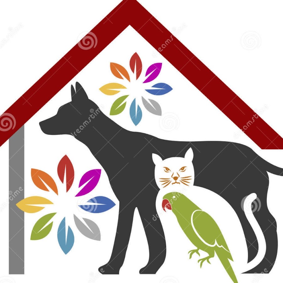 Pet House логотип для животных