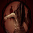 DoomsdayC5FA avatar