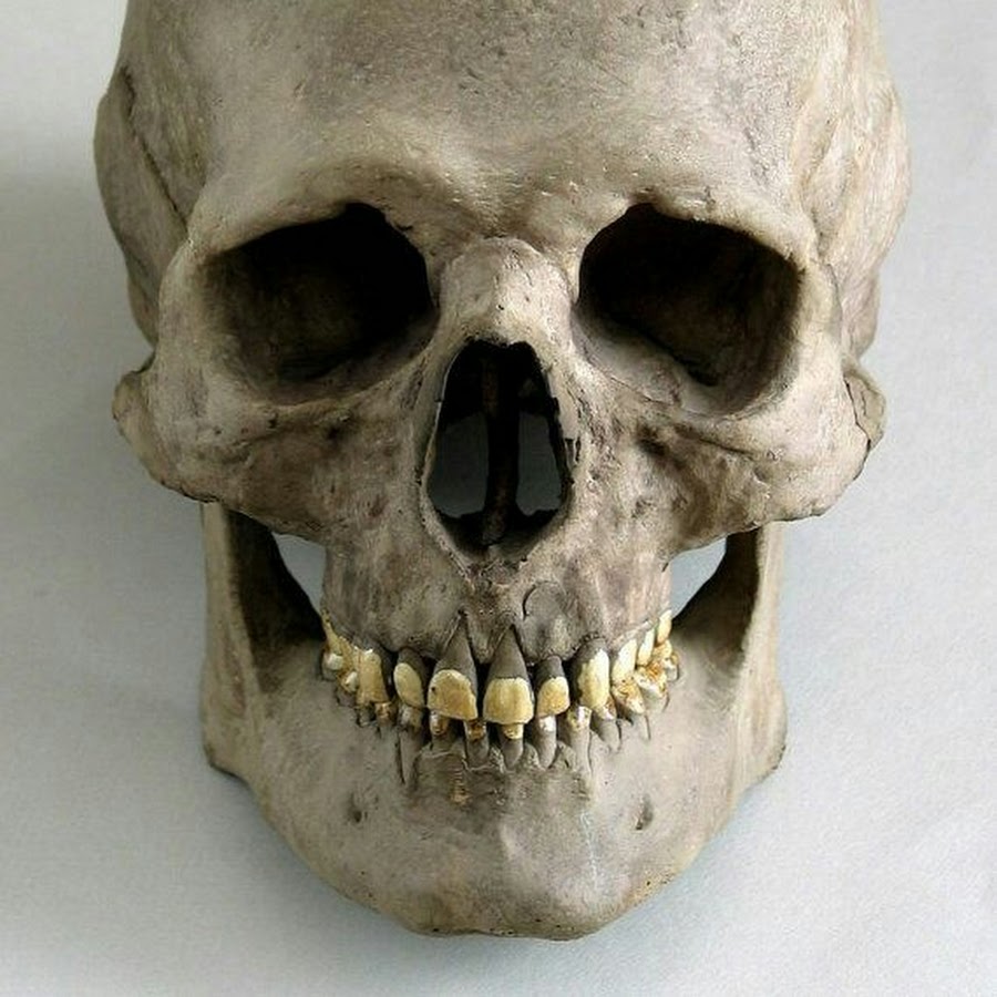 Goo Goo Gaga - YouTube