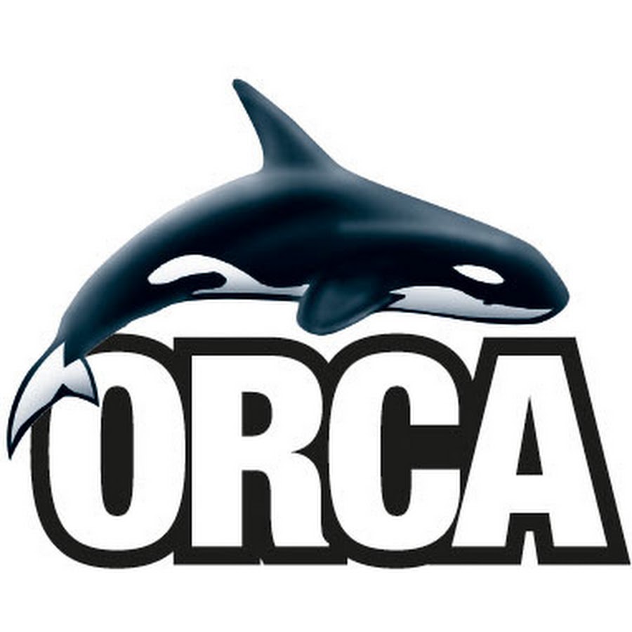 Orca minimalism. Orca codes. Hungry orca. Orca ace. Orca vector.