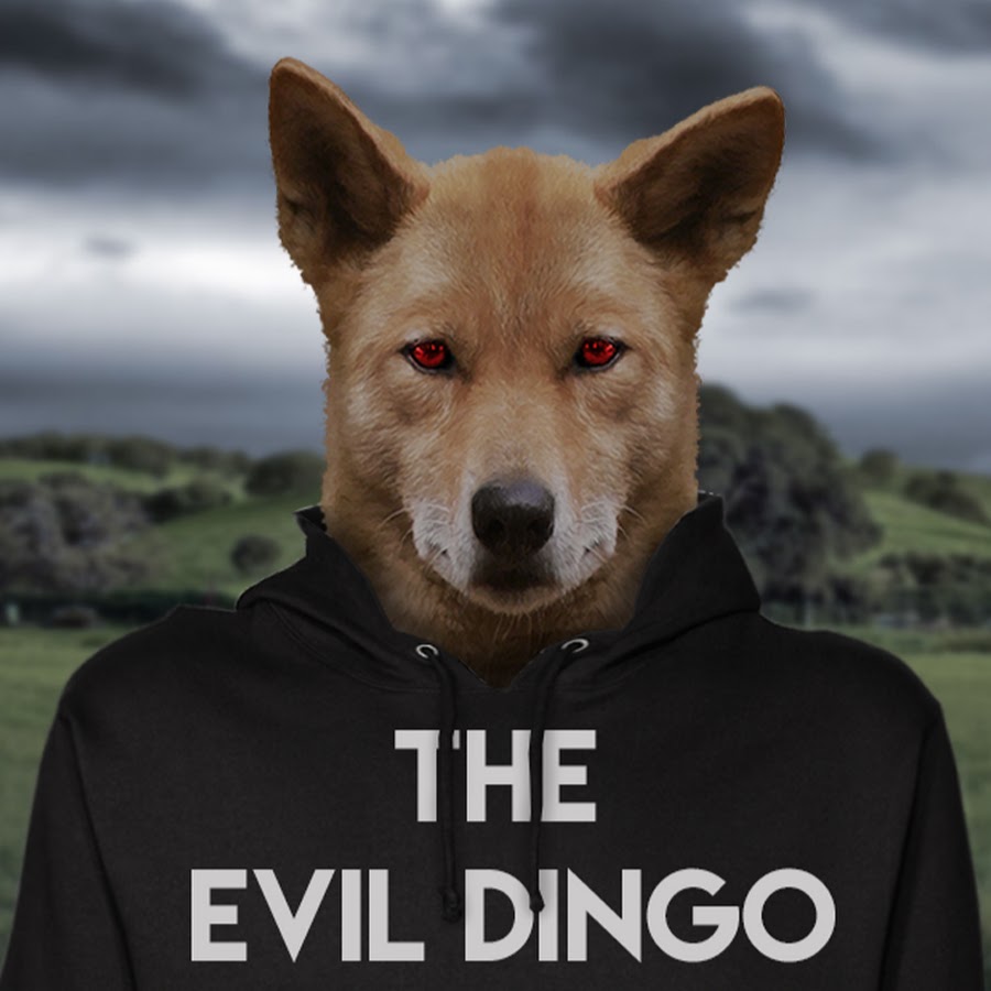 The Evil Dingo YouTube